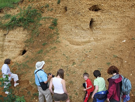 Ice Age deposits at Stowe. With abundant reworked fossils within the gravels.